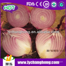 2014 Fresh Red Onion Supplier from China